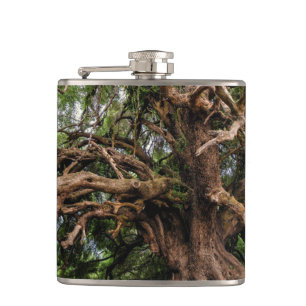 Petaca Árbol de oliva viejo y ruso