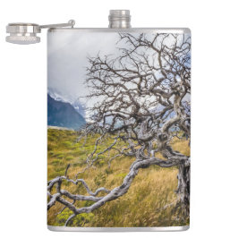 Petaca Árbol quemado, Torres del Paine, Chile