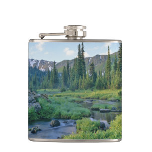 Petaca Arroyo Picnic en Jewel Basin de Swan