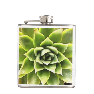 Petaca Arte Cacti verde exitoso