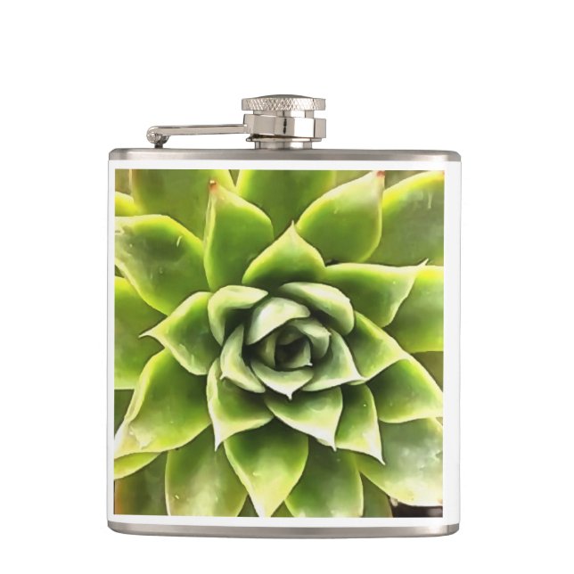 Petaca Arte Cacti verde exitoso (Anverso)