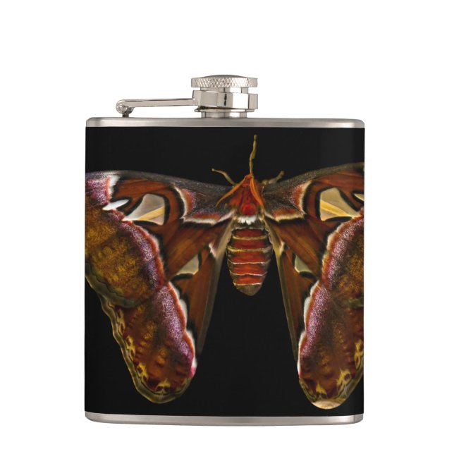 Petaca Atlas Moth - Snake Head (Anverso)