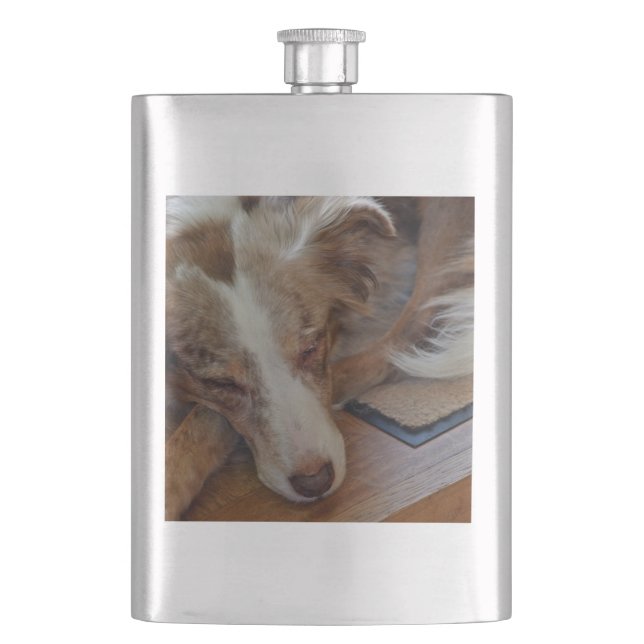 Petaca aussie merle rojo durmiendo (Anverso)