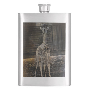 Petaca Baby Giraffe