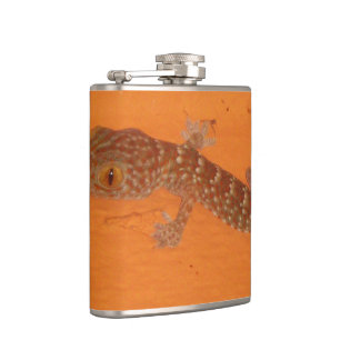 Petaca Baby Tokay Gecko