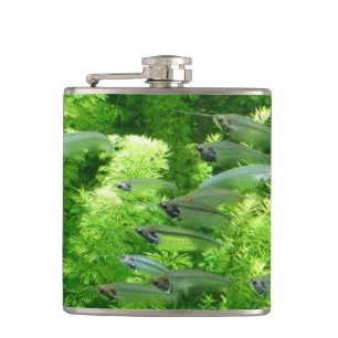 Petaca Bajío de pescados de plata transparentes