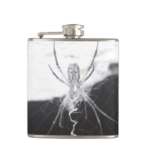 Petaca Barras de araña