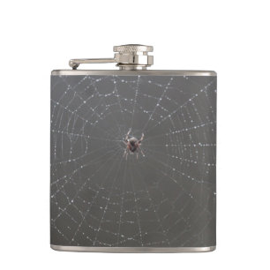 Petaca Barrido de araña