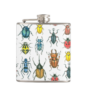 Petaca Beetles