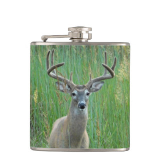 Petaca Big Buck