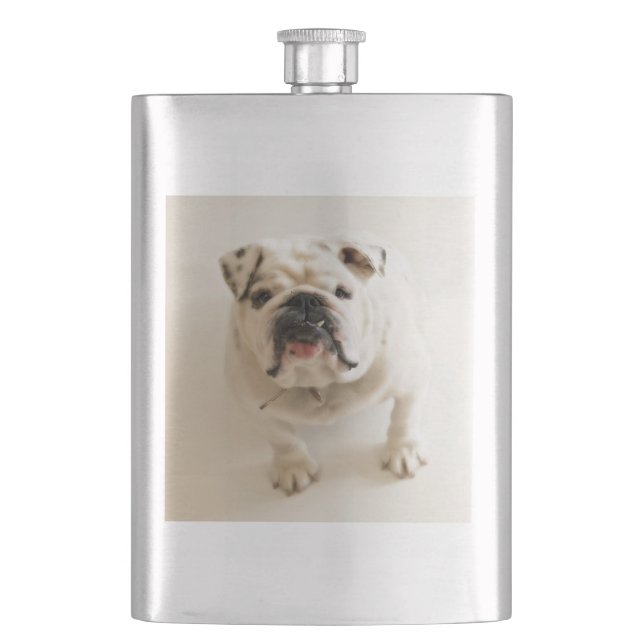 Petaca blanco bulldog (Anverso)