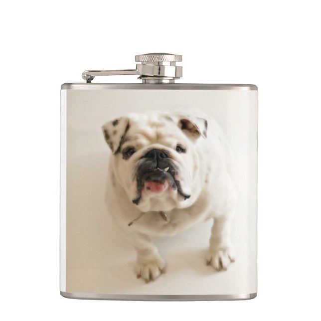 Petaca blanco bulldog (Anverso)