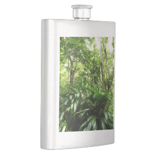Petaca Bosque lluvioso dominicano I Naturaleza tropical v