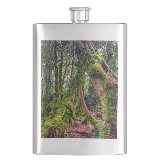 Petaca Bosque Musgoso (Anverso)