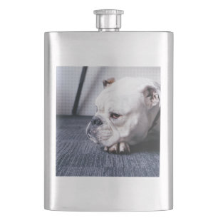 Petaca bulldog
