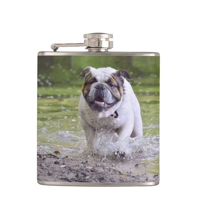 Petaca bulldog en el agua (Anverso)