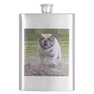 Petaca bulldog en el agua