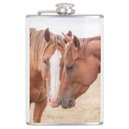 Petaca Caballos zumbando en un pasto