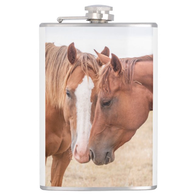 Petaca Caballos zumbando en un pasto (Anverso)