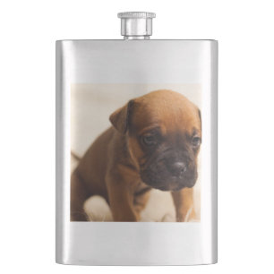 Petaca cachorro de bulldog