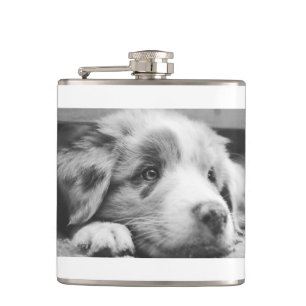 Petaca cachorro de pastor australiano