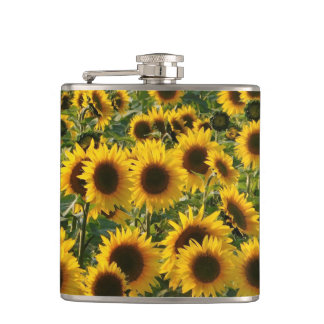Petaca Campo de girasol