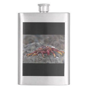 Petaca Cangrejo de roca roja