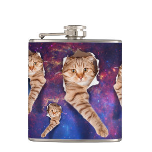 Petaca Cat looking up in space side torn hole