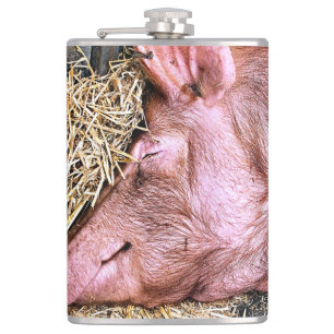 PETACA CERDO CUTIDO