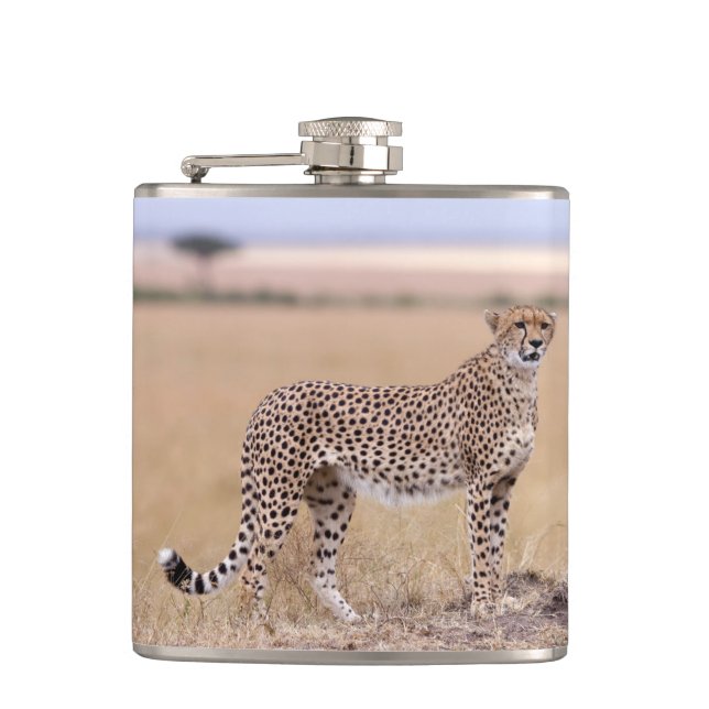 Petaca Cheetah (Anverso)