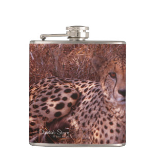 Petaca Cheetah Stare