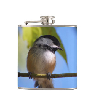 Petaca Chickadee lindo en una fotografía de la rama