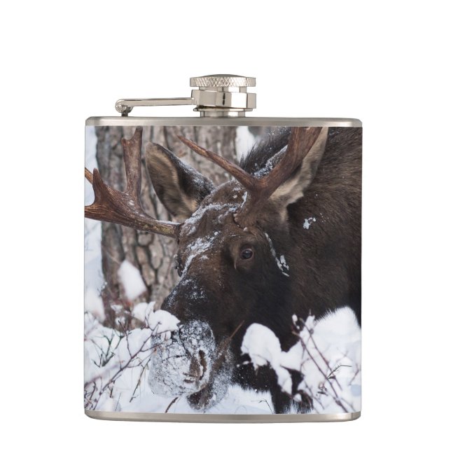 Petaca Chilly Moose (Anverso)