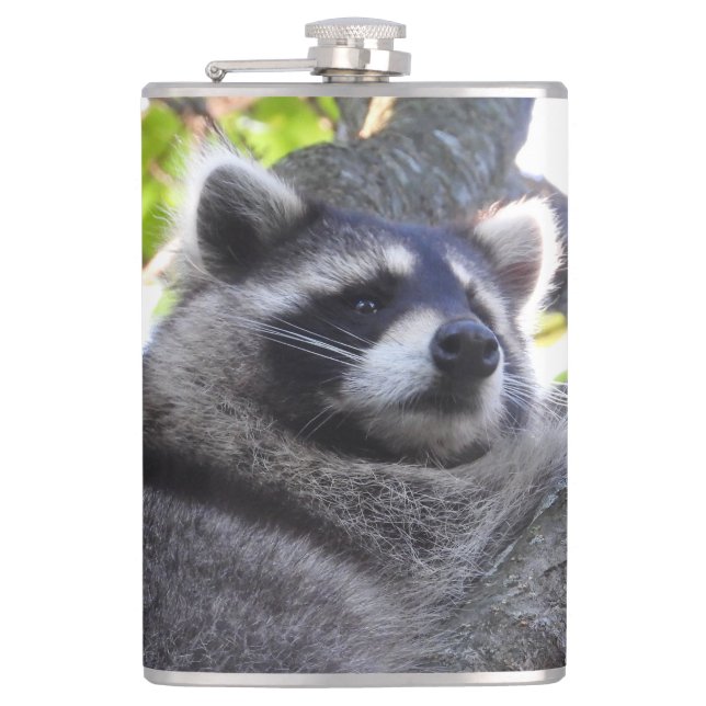 Petaca Cierre de Cute Raccoon (Anverso)