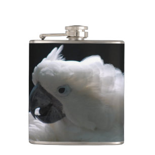 Petaca Cockatoo