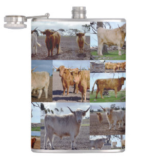 Petaca Collage de fotos De Vacas De Las Tierras Altas, Ca