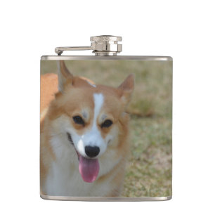 Petaca Corgi feliz