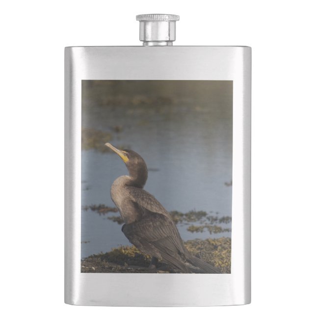 Petaca Cormorán de doble pecho (Anverso)