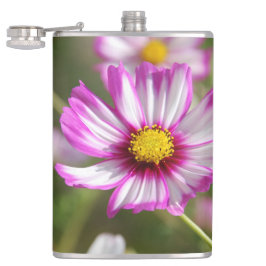 Petaca Cosmos rosas, huerto de cabaña Rosalinde