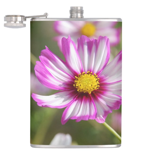 Petaca Cosmos rosas, huerto de cabaña Rosalinde (Abierto)