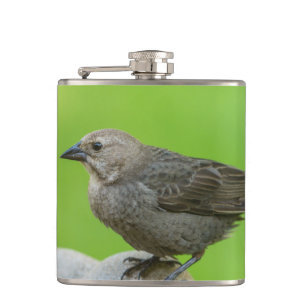 Petaca Cowbird marrón