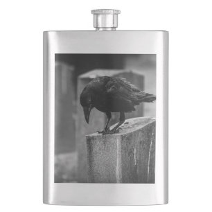 Petaca Crow en el cementerio caído