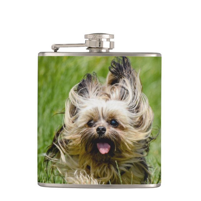 Petaca Cute Yorkshire Terrier Running Through Grass (Anverso)