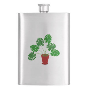 Petaca Día de la Madre Planta Monstera