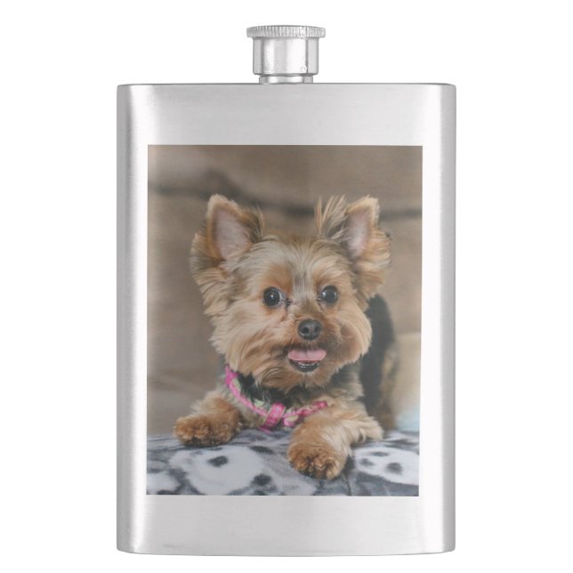 Petaca Dínamo pequeño (Anverso)