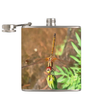 Petaca Dragonfly artístico descansando sobre la cabeza de