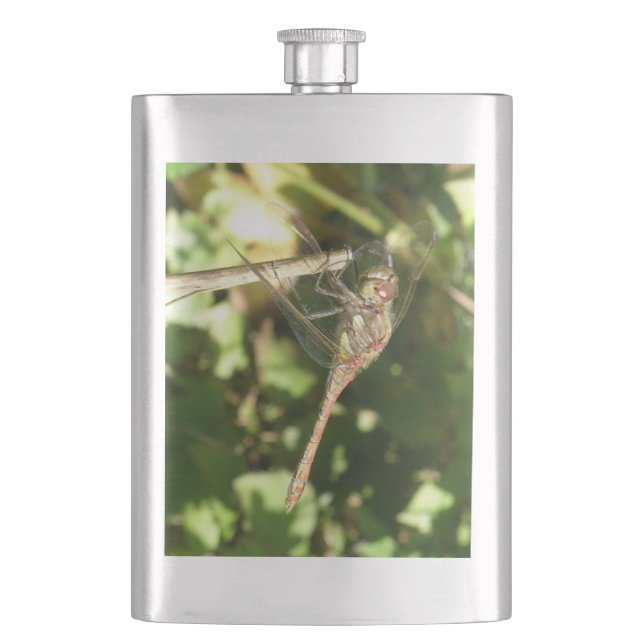 Petaca Dragonfly on the Twig Flask (Anverso)