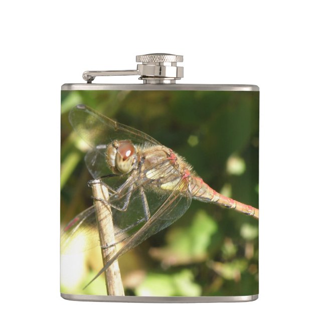 Petaca Dragonfly on the Twig Flask (Anverso)