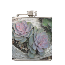 Petaca Echeveria Succulent Flask
