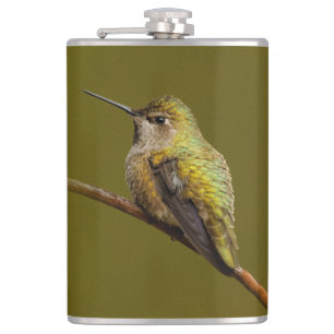 Petaca El colibrí de Anna sobre Scarlet Trumpetvine